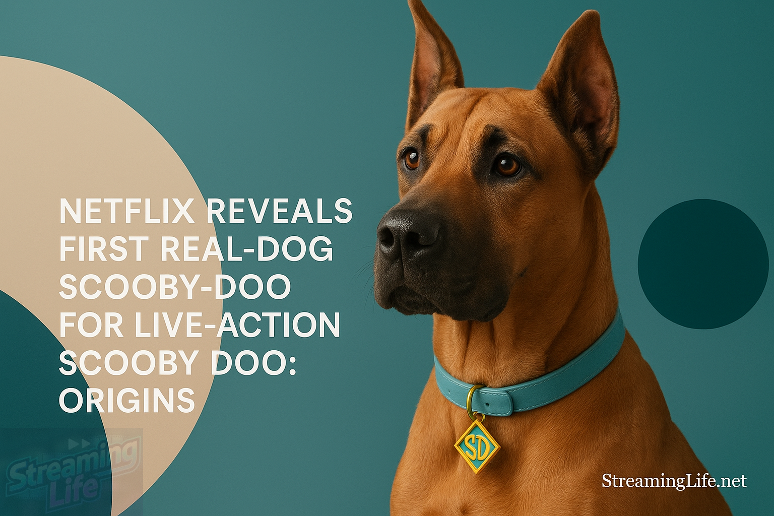 Netflix Reveals First Real-Dog Scooby-Doo for Live-Action Scooby Doo: Origins